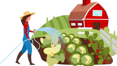 PRODUCCION DE CULTIVOS